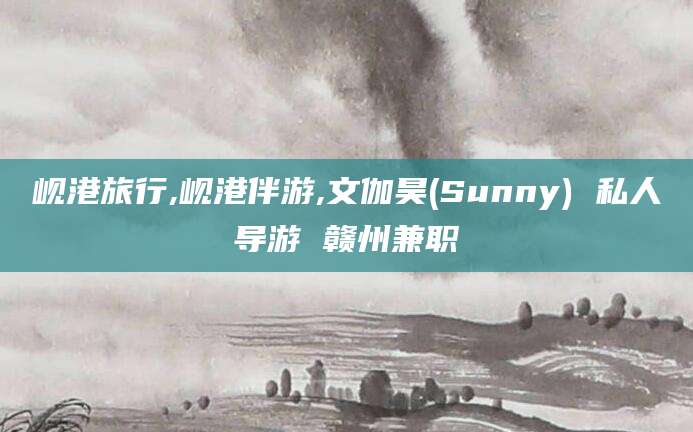 温州岘港旅行,岘港伴游,文伽昊(Sunny) 私人导游 赣州兼职